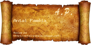 Antal Paméla névjegykártya